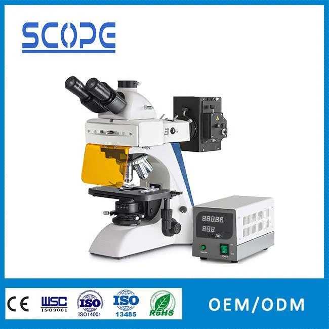 high quality and high power fluorescence microscope