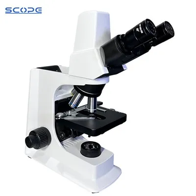 디지털 비디오 현미경