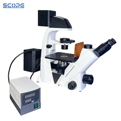 위상차 및 형광 현미경